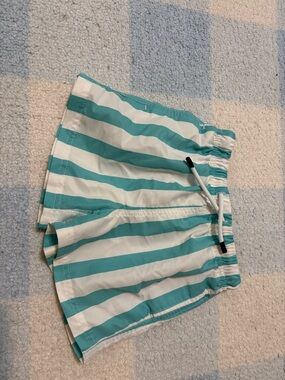 Magic Teal and White Striped Swim Bottoms